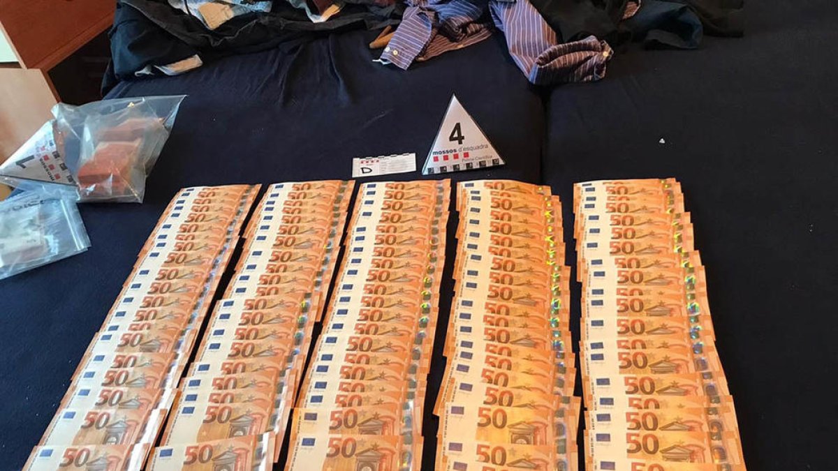 Al menos siete detenidos y 2.000 plantas de marihuana intervenidas por los Mossos en el Tarragonès