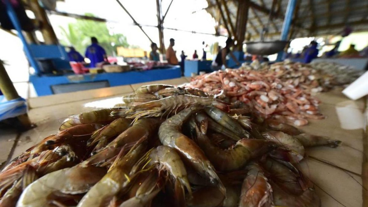 China detecta trazas del virus en el envoltorio externo de camarones del Ecuador