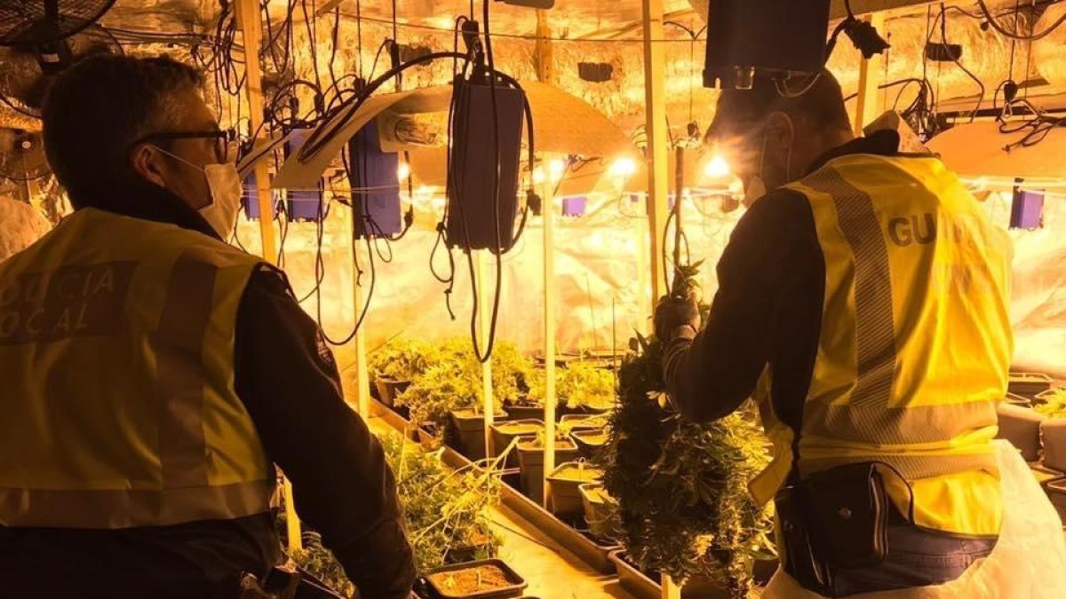 Detinguts dos albanesos per tràfic de drogues al Vendrell