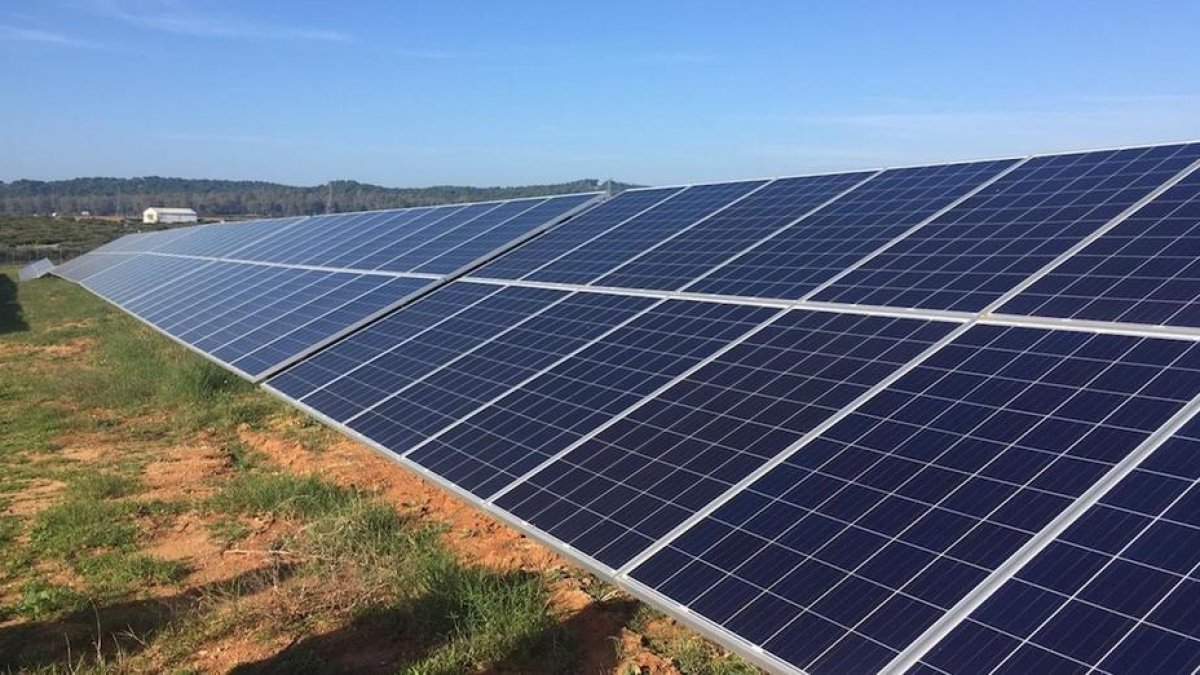SOS Penedès rechaza la planta solar fotovoltaica privada que se quiere construir en l'Arboç