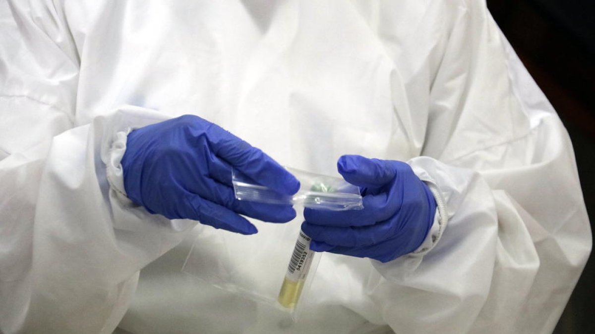 PCR, coronavirus, cribratge, covid, sanitària