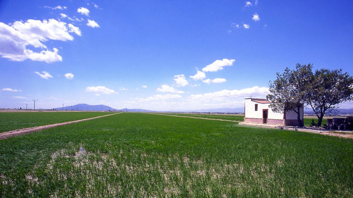 Las Terres de l'Ebre vuelven a ser reconocidas entre los 100 mejores destinos sostenibles del mundo