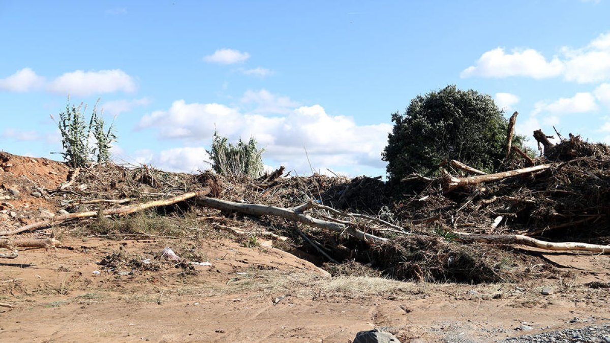 Empiezan los trabajos en Tarragona para adecuar el cauce del Francolí después de los aguaceros de octubre