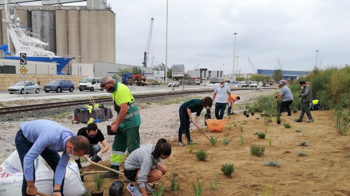 El Port de Tarragona organitza una plantada d'arbres per fomentar la biodiversitat amb motiu de la Setmana de la Natura