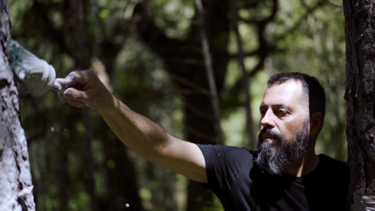 En conexión con el arte y la naturaleza