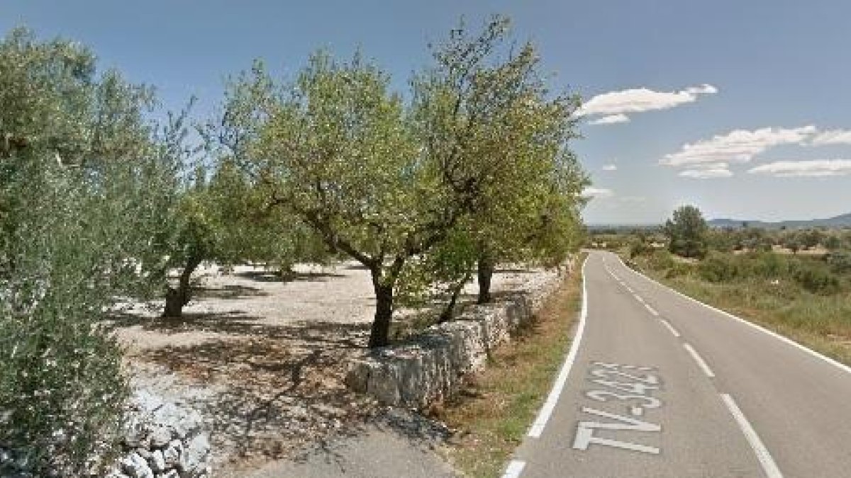 Xoca contra una olivera en esquivar un senglar a Mas de Barberans