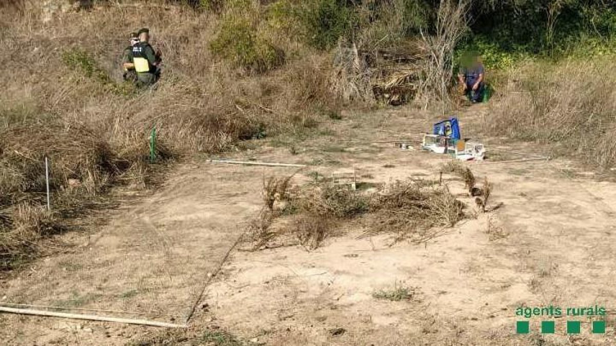 Sancionan a un cazador furtivo de pájaros fringílidos en Montblanc