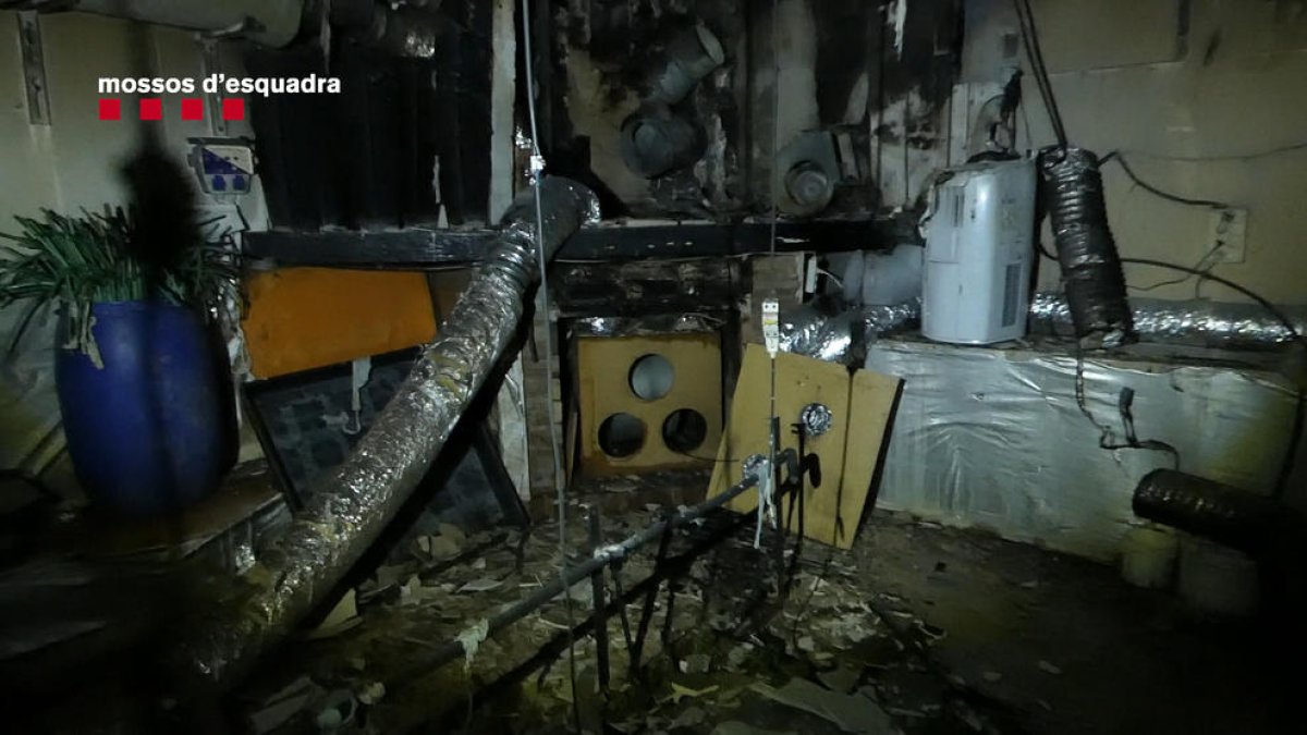 Un incendi als baixos d'un edifici de Viladecans permet desmantellar una plantació de marihuana