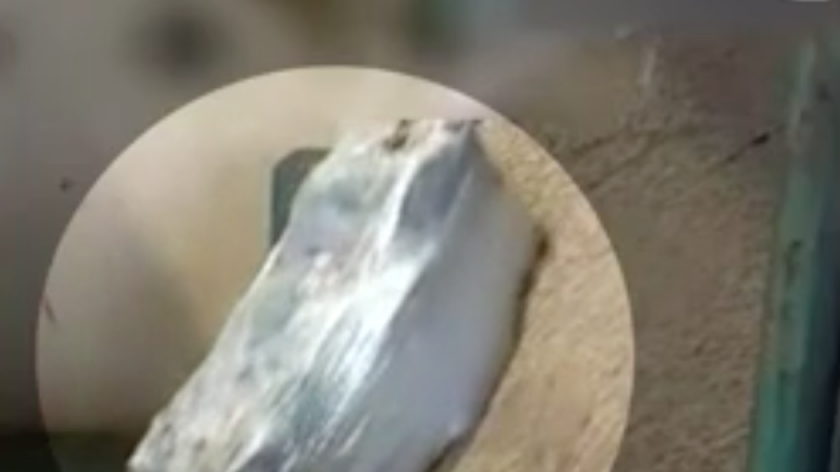 Interceptats prop de 250 kilos de cocaïna en un contenidor amb cafè a granel en el port de Barcelona