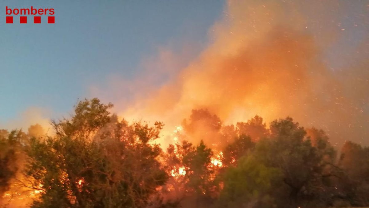 Pugen a 18 les dotacions terrestres dels Bombers que treballen en un incendi forestal a Tortosa