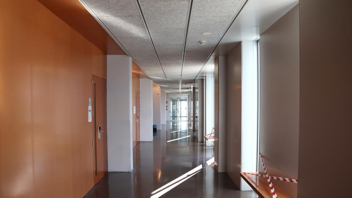 Campus Catalunya, URV, coronavirus, clases telemáticas