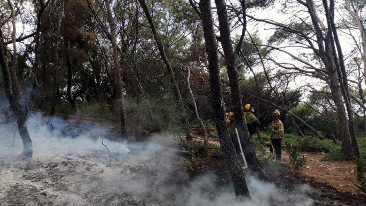 El Ayuntamiento se plantea establecer un sistema de control de acceso en el Bosque de la Marquesa