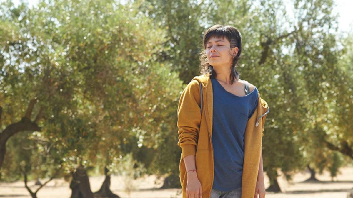 El concert dels Amics de les Arts i una trobada amb Anna Castillo, propostes culturals online del dia