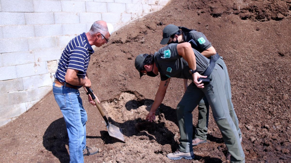 Agents Rurals, controls, estercoleros de granjas, incendio, Ribera d'Ebre