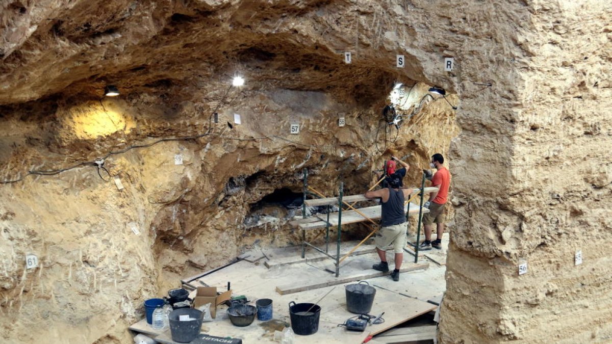 El IPHES encuentra ciervos de 60.000 años