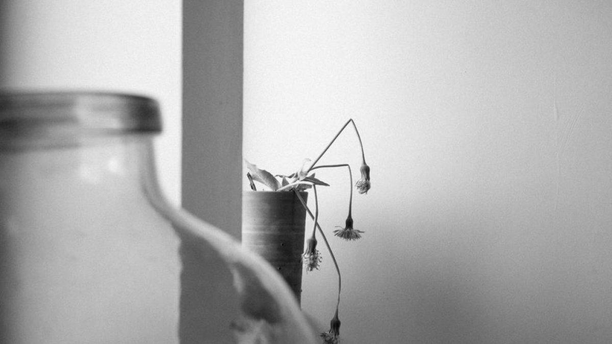 A la captura del instante interior