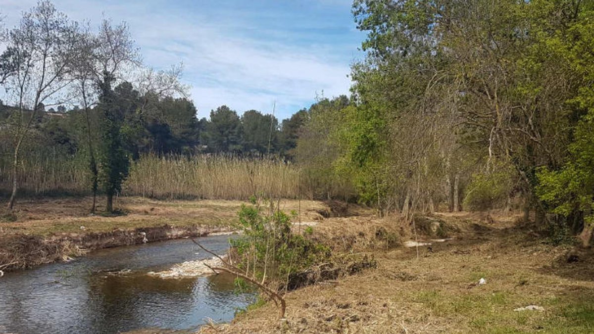 río Gaià a su paso por Aiguamúrcia, ACA, cauce fluvial