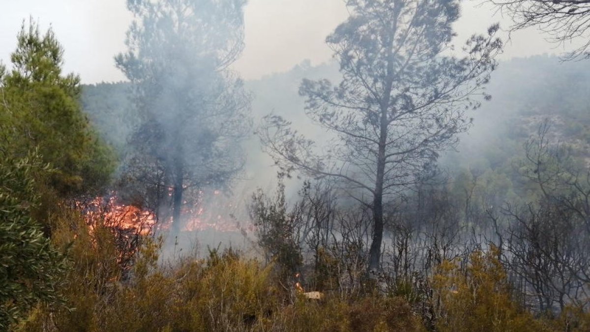 Els Bombers treballen en un incendi al barranc del pont trencat del Perelló