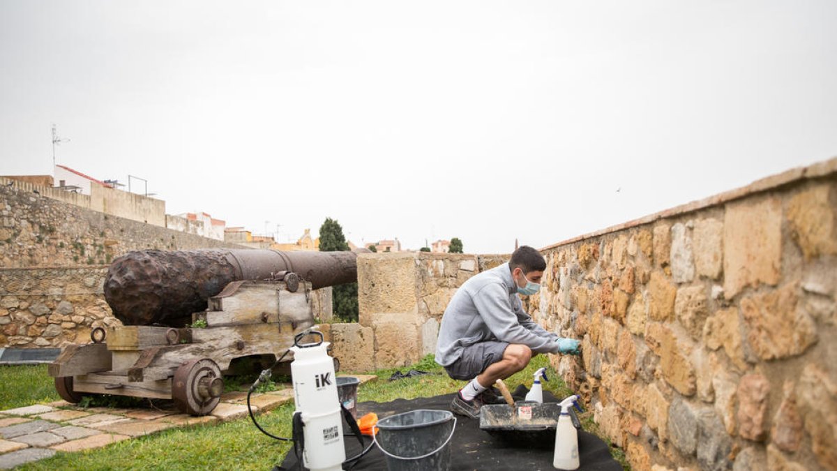 Alumnes de la Casa d'Oficis participen en l'arranjament del Passeig Arqueològic