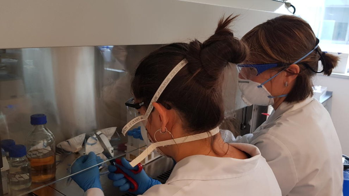 Un nuevo sistema para desinfectar mascarillas con radiación infrarroja y luz ultravioleta