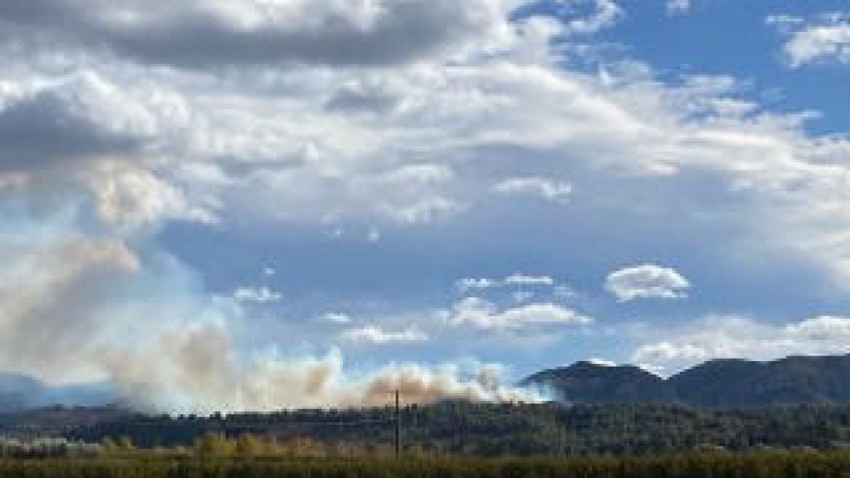 Una treintena de dotaciones de los Bomberos trabajan en un incendio forestal en Tivissa, en la Ribera de Ebro