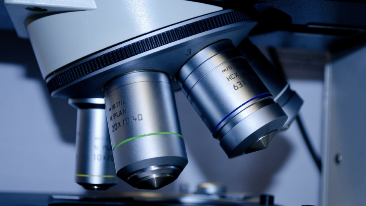 Detecten que la manca de nutrients en cèl·lules tumorals atrau cèl·lules que inhibeixen al sistema immunitari