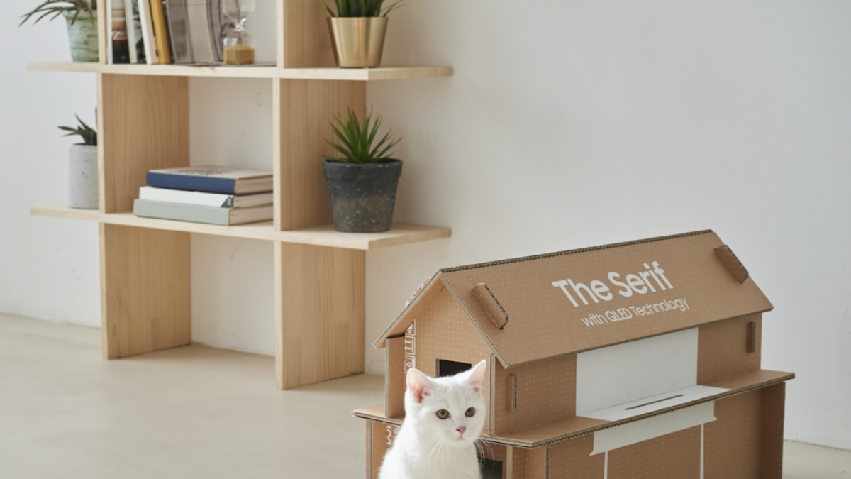 Crear casas para gatos con cajas de televisores