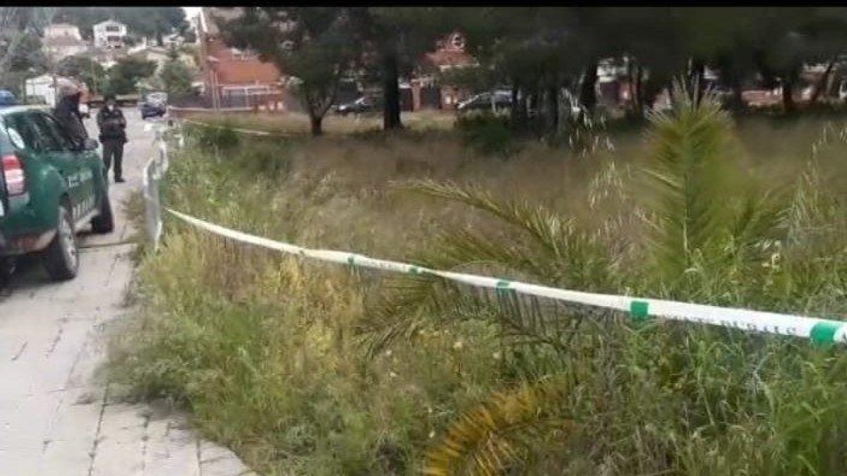 Los animales se dejan ver por Cunit durante el confinamiento