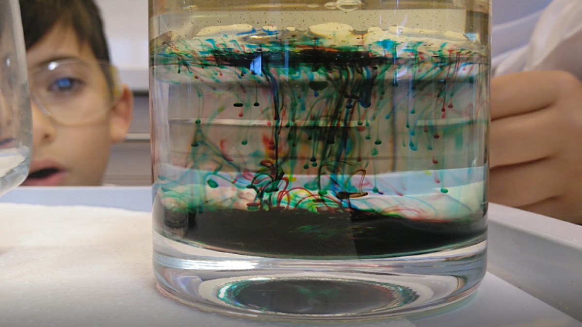 La URV despierta vocaciones por la ciencia convirtiendo la cocina de casa en un laboratorio