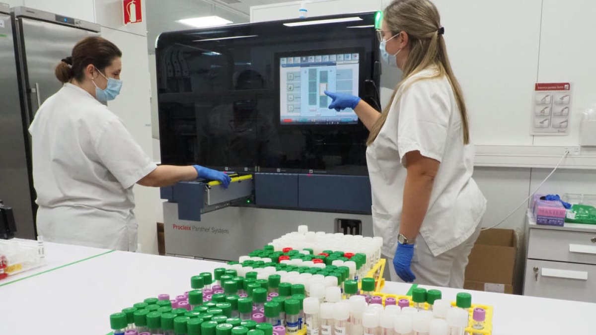 PCR, coronavirus, covid, pandèmia