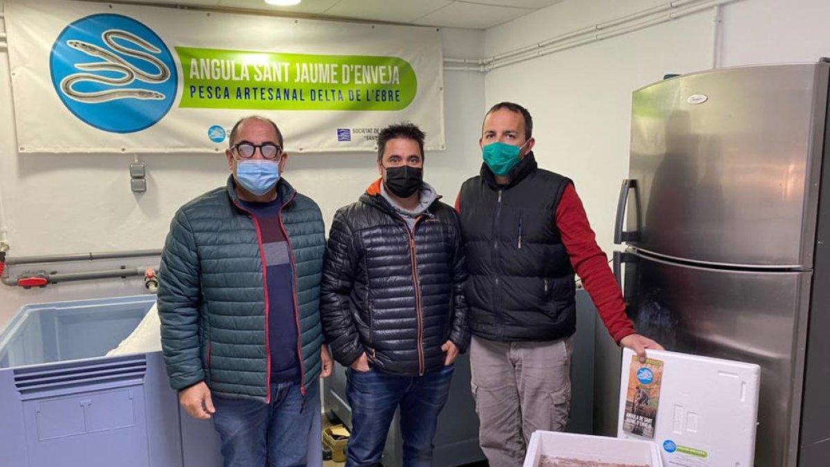 Los pescadores de Sant Jaume d'Enveja empiezan a vender angulas vivas a través de su cooperativa y en Internet