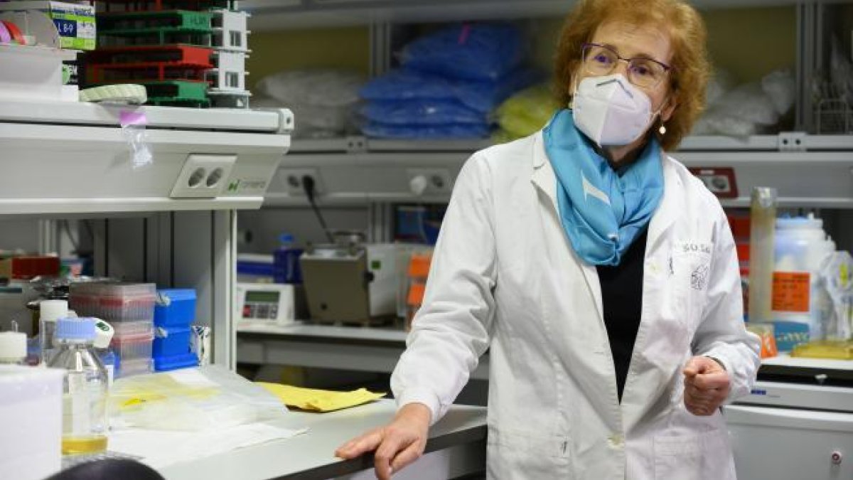 Margarita del Val cree que de aquí a 8 semanas la situación de la pandemia cambiará