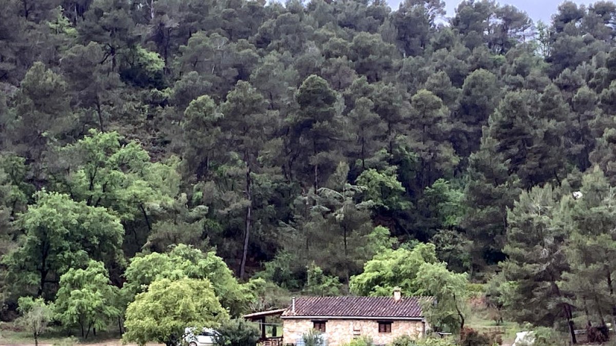 Concentraciones hoy por la muerte de dos jóvenes en l'Espluga de Francolí