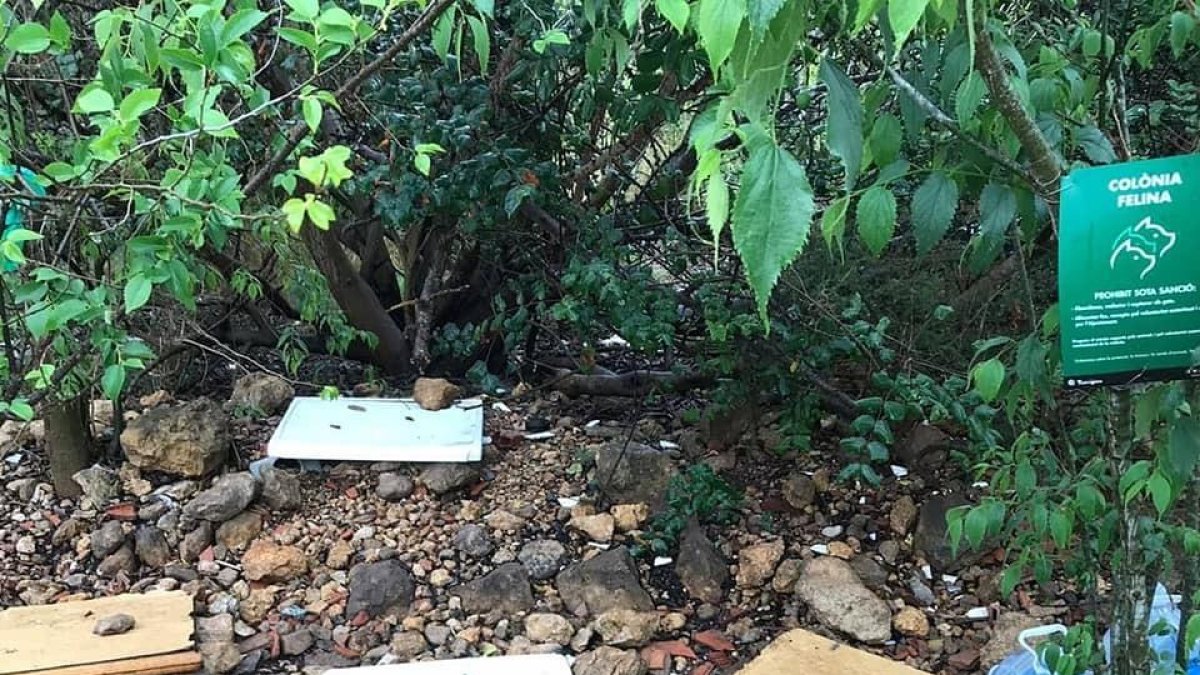 Destrossen dues colònies controlades de gats al barri de Sant Pere i Sant Pau de Tarragona