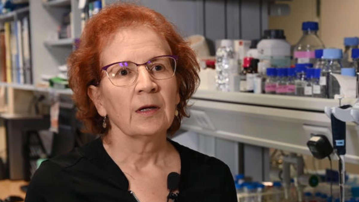 Margarita del Val recomana «no fer experiments» combinant dosis de vacunes diferents