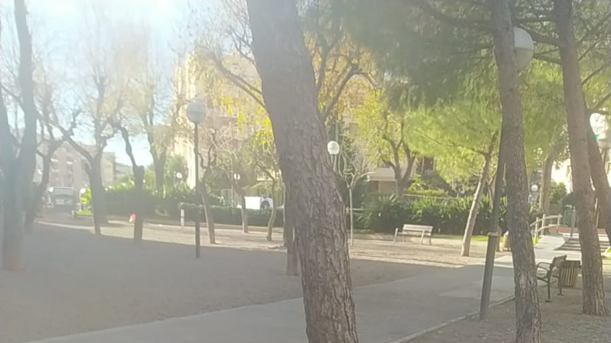 Els veïns de la Granja, farts de l'incivisme i la manca de neteja