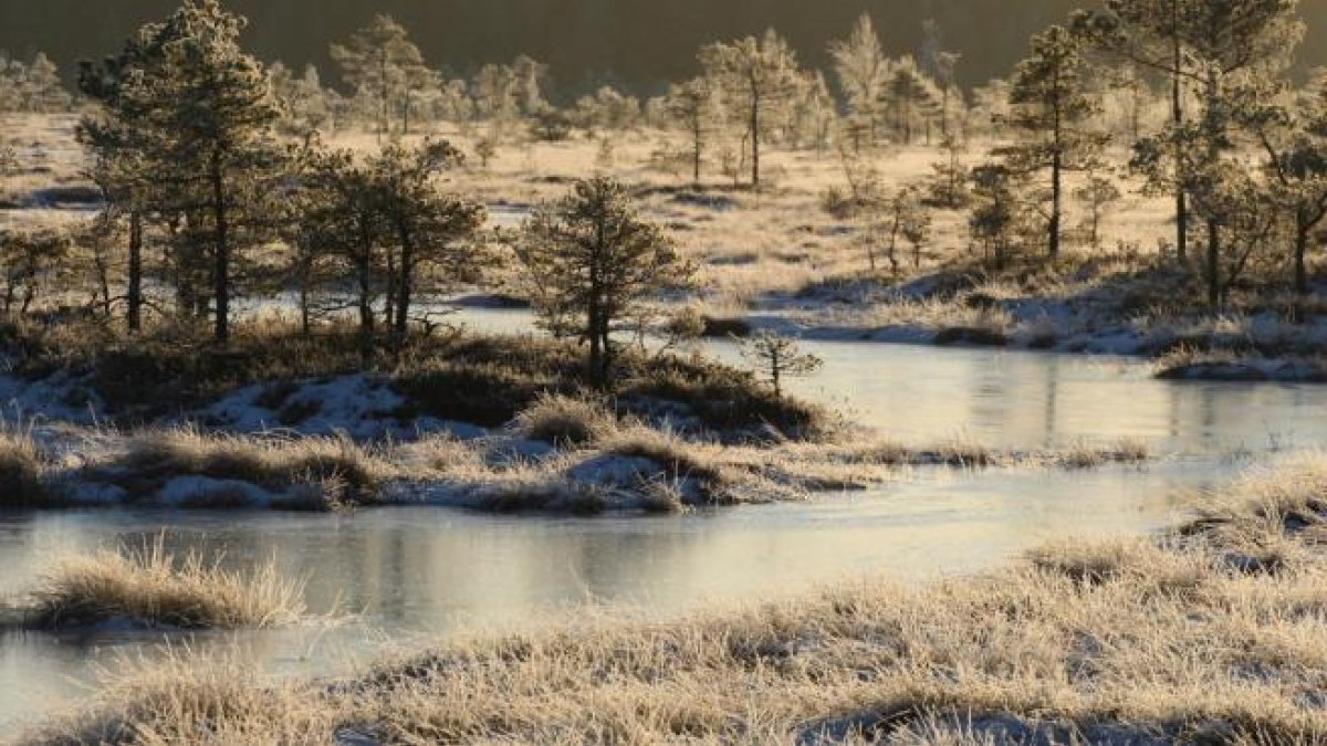 El país que té una «cinquena estació» a més de primavera, estiu, tardor i hivern