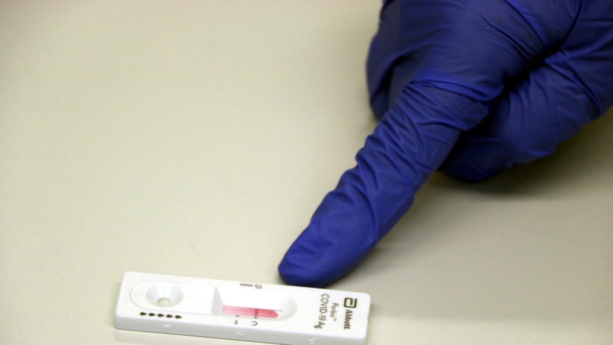 test|tiesto rápido de antigenes, coronavirus, pandemia, covid-19, virus