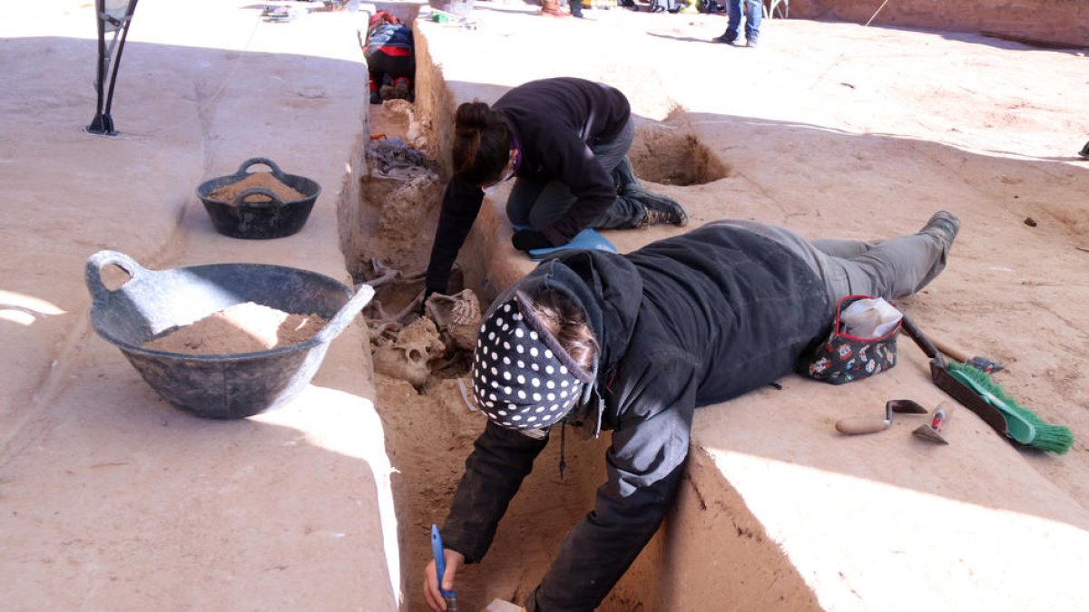 Localitzen 61 fosses en un mas de Móra d'Ebre que va funcionar com a hospital durant la batalla de l'Ebre