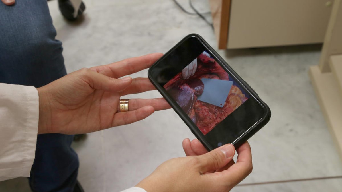 Cataluña es la tercera región europea por número de proyectos de inteligencia artificial