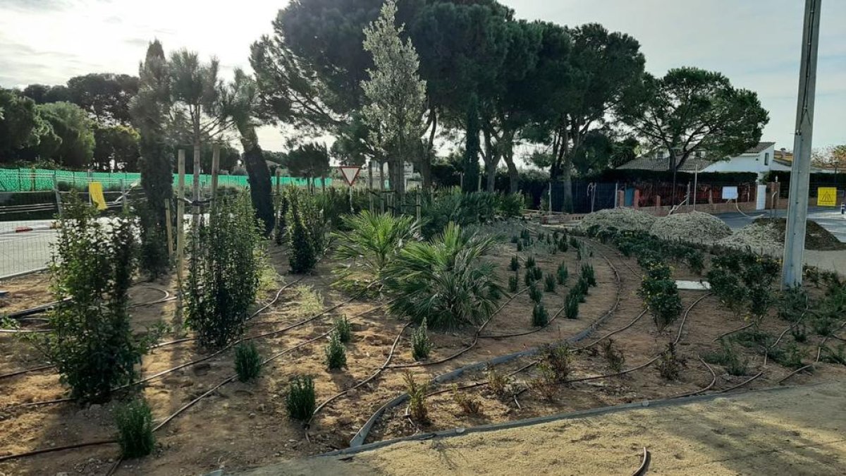 Acaben els treballs d'enjardinament d'una nova zona verda a la urbanització Blancafort de Reus