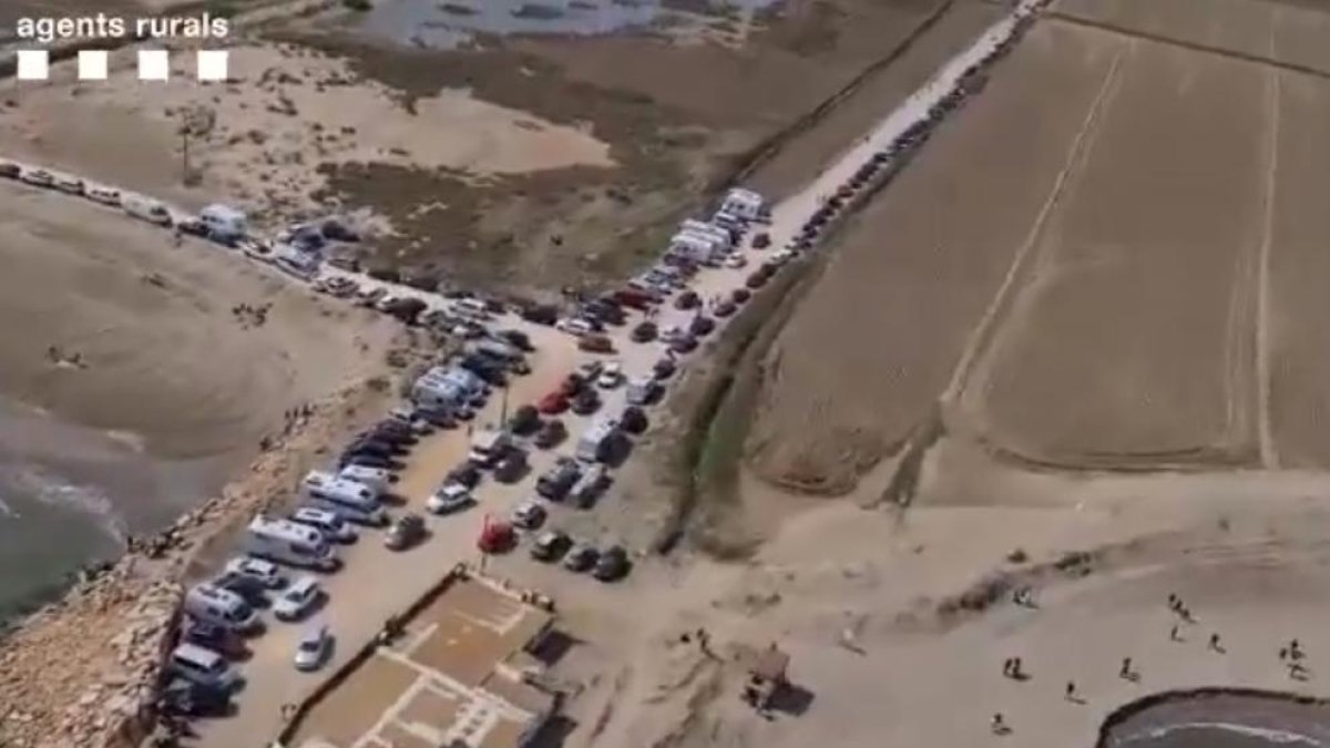 Desenes d'autocaravanes, furgonetes i cotxes mal aparcats al delta de l'Ebre
