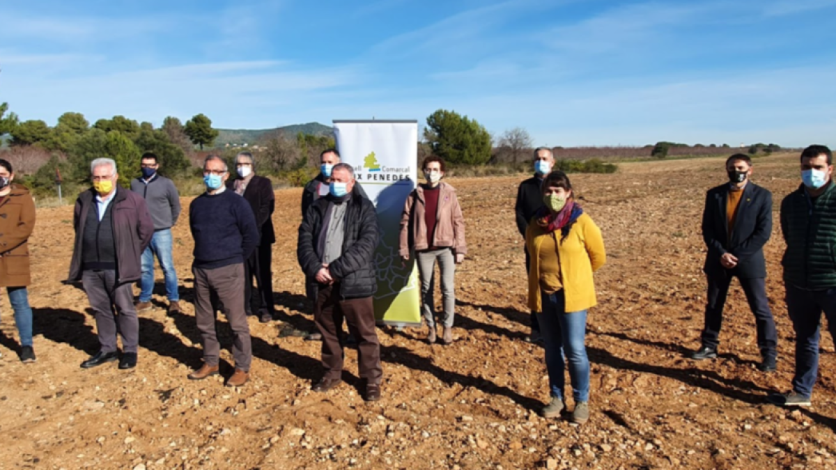 Els alcaldes del Baix Penedès signen un manifest en contra dels parcs fotovoltaics en terrenys agrícoles