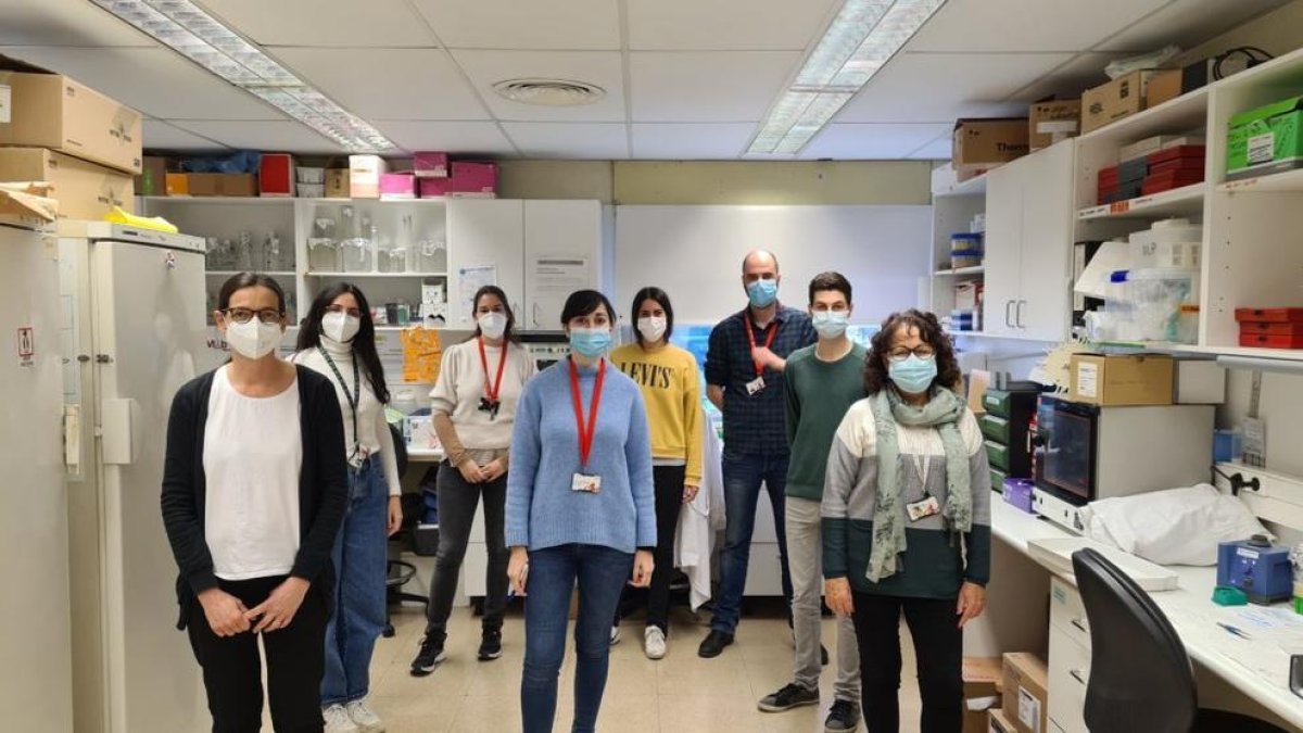 Un estudio demuestra que la eliminación de una proteína acelera la regeneración del hígado