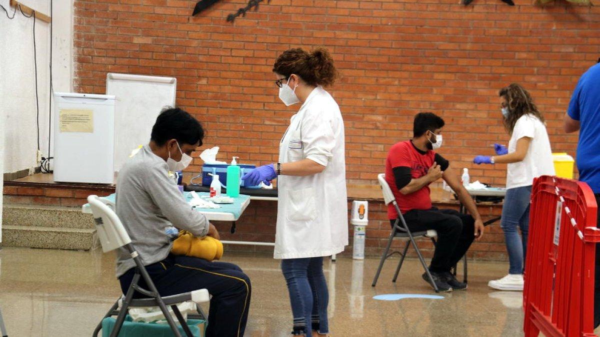 Respuesta masiva de los temporeros de la fruta dulce de la Ribera de Ebro llamados a vacunarse