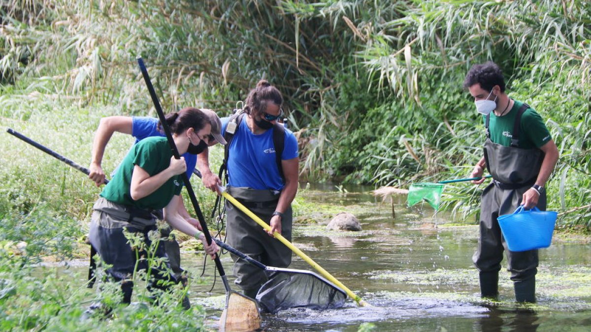 Tarragona reclamará un estudio sobre el caudal del Francolí a la Agencia Catalana del Agua