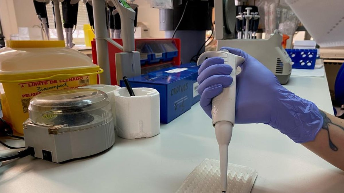 Seleccionan un trabajo del HJ23, la URV y el IISPV para un congreso