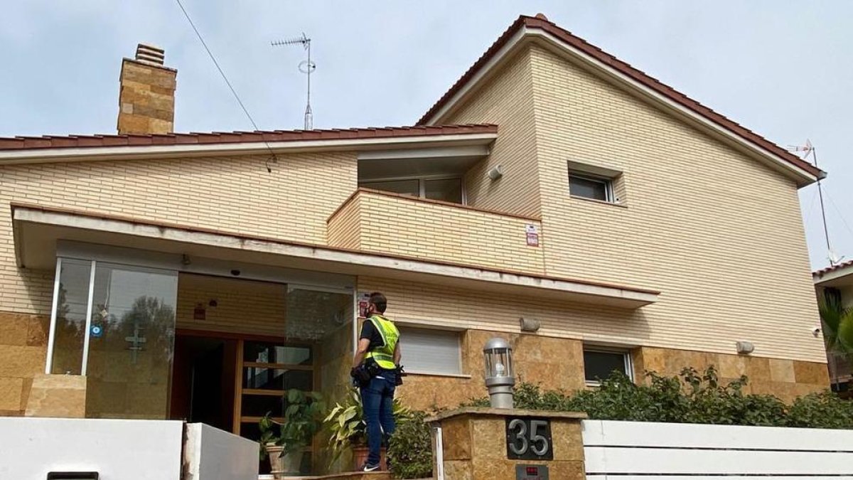 Desmantelada una plantación de marihuana con 4.000 plantas en Roda de Berà