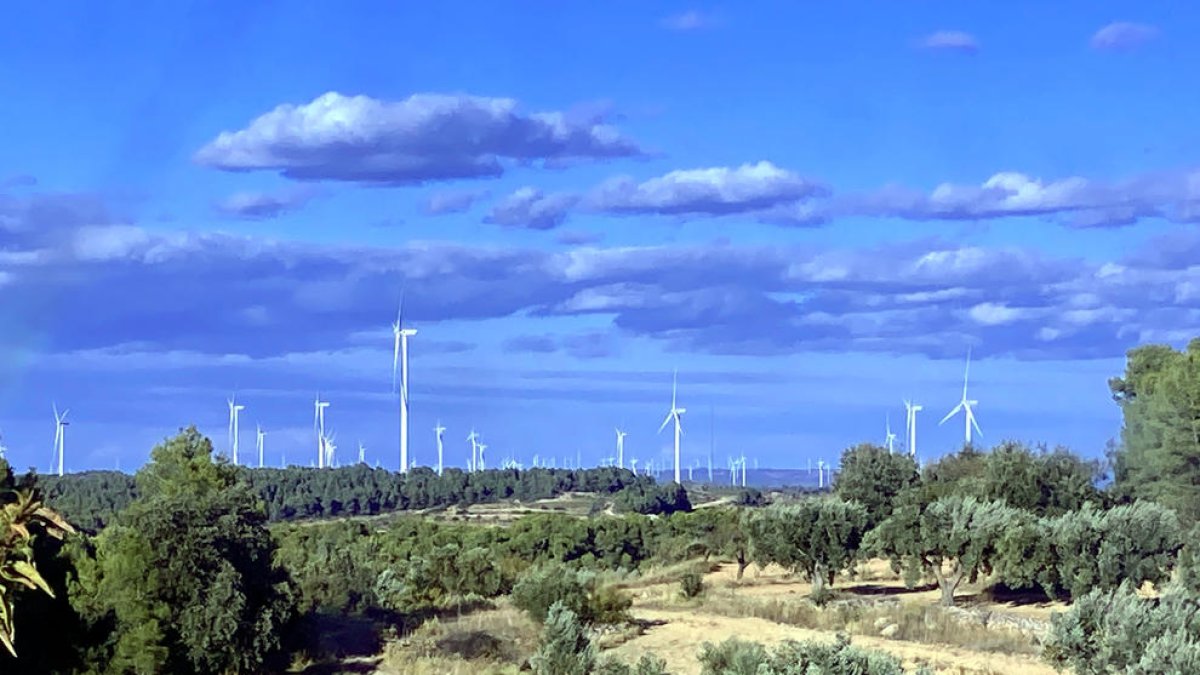 El Ayuntamiento de l'Ametlla de Mar se opone al nuevo parque eólico del Ametlló