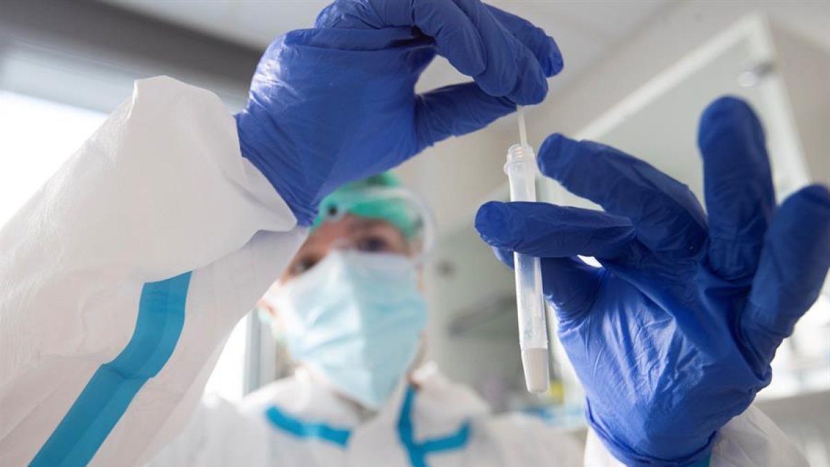 sanitària, prova d'antígens, test, pandèmia, coronavirus, covid